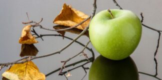Metody walki z najczęstszymi pasożytami drzew jabłoniowych